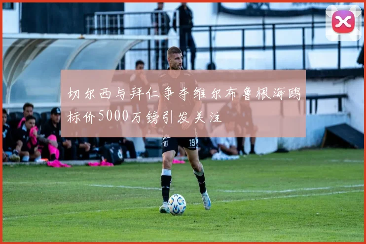 切尔西与拜仁争夺维尔布鲁根海鸥标价5000万镑引发关注